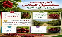  آغاز برداشت محصول گیلاس، از باغات شهرستان شاهرود